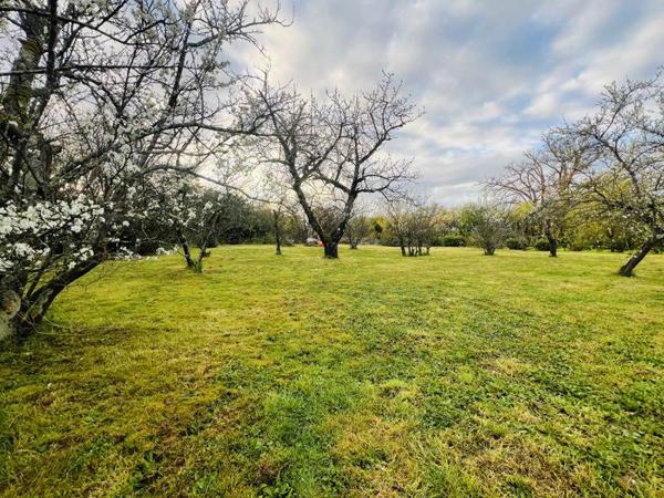 Maison à vendre |  Le Châtelet |  5 pièces | 100 m²