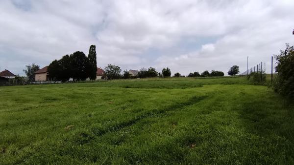 Achat terrain Phalsbourg - 2200 m² - 79 000 €