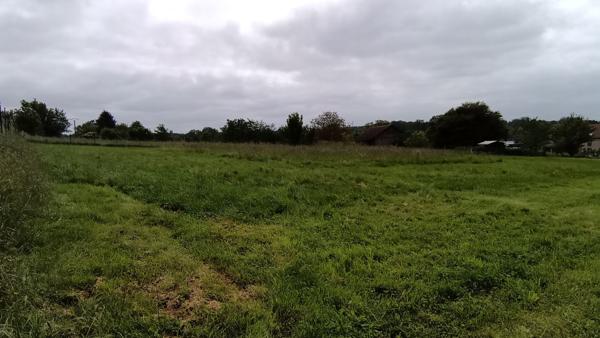 Achat terrain Phalsbourg - 2200 m² - 79 000 €