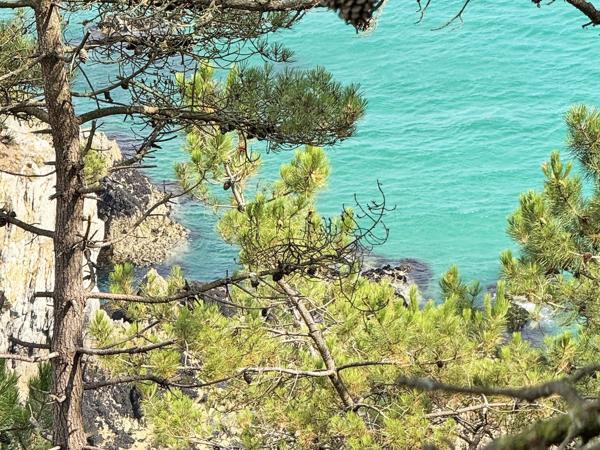 Vente Maison de luxe Crozon 10 Pièces 280 m²