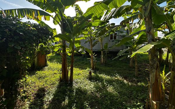 Maison à vendre    6 pièces •  Capesterre-Belle-Eau