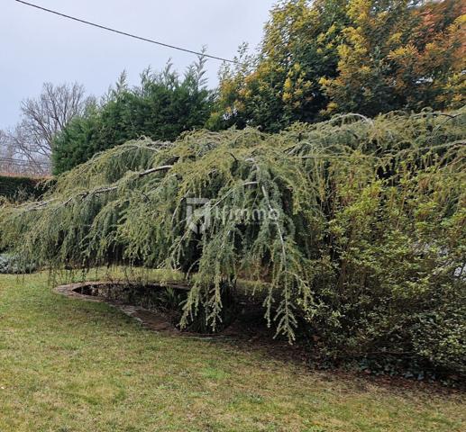 Maison en centre ville
