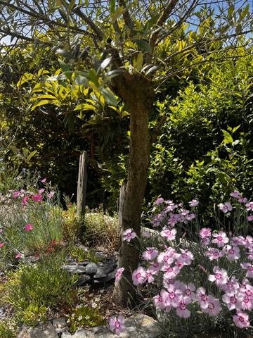 Maison familiale 4 chambres à Grésy-sur-Aix avec jardin, double garage, piscine (73)