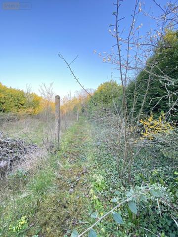 Maison à vendre à Villemandeur dans le Loiret (45700), ref : 45052-1546