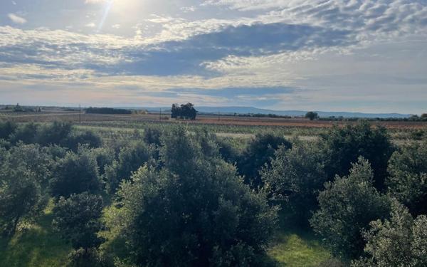 Maison à vendre    5 pièces •  Tulette