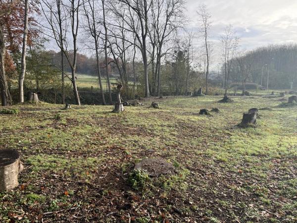 Vente Terrain 943 m2 à Neuilly-Saint-Front