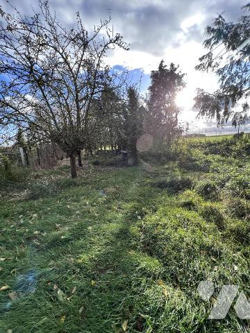 Maison familiale à la campagne - PLOUASNE