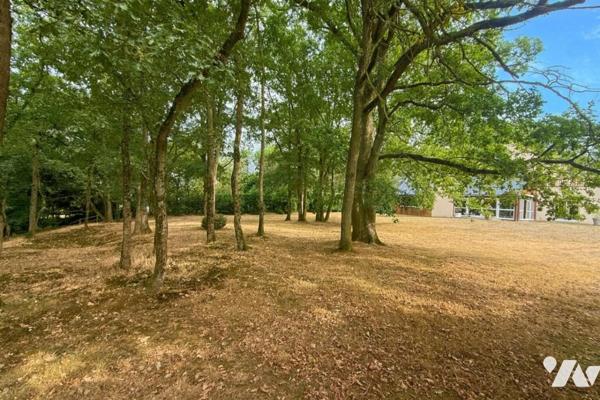 JUIGNE SUR LOIRE PROPRIETE AVEC PISCINE