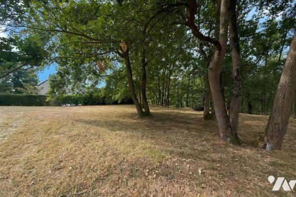JUIGNE SUR LOIRE PROPRIETE AVEC PISCINE
