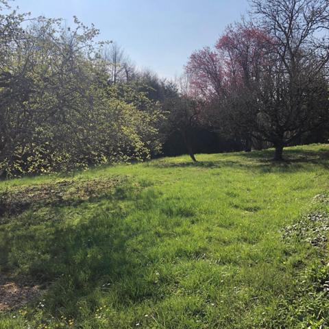 Longère de caractère à terminer de rénover, dans un village agréable