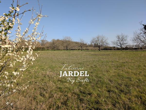 Terrain constructible borné de 3 375 m² situé sur Carsac-Aillac