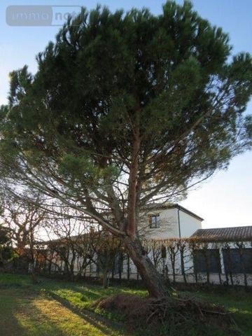 Villa à vendre à Sancé en Saône-et-Loire (71000), ref : MA 672