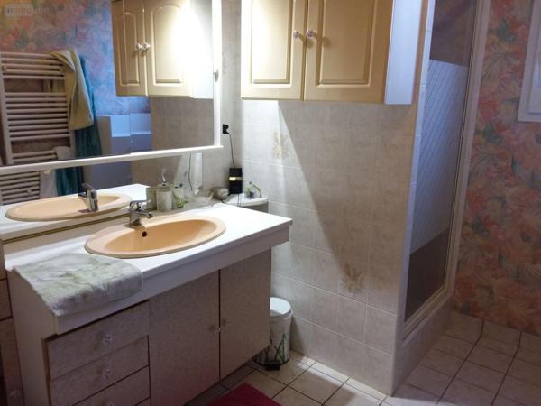 Pavillon à vendre à Cour-Cheverny dans le Loir-et-Cher (41700), ref : AN 8100