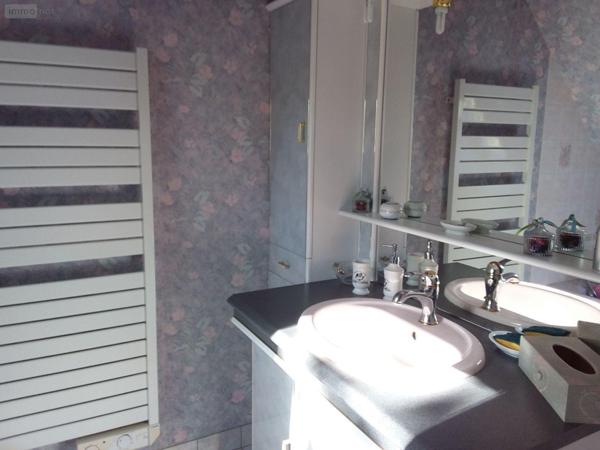 Pavillon à vendre à Cour-Cheverny dans le Loir-et-Cher (41700), ref : AN 8100