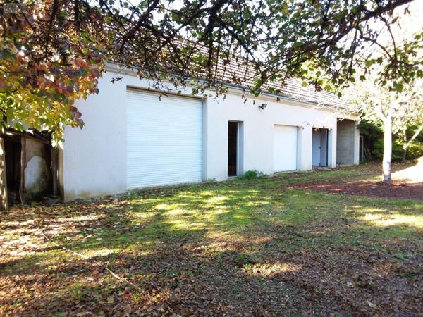 Pavillon à vendre à Cour-Cheverny dans le Loir-et-Cher (41700), ref : AN 8100