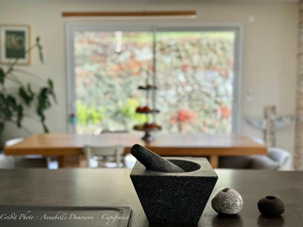 Villa d'architecte BBC à vendre à THIERS (CHOPINE) avec vaste terrain et piscine chauffée.