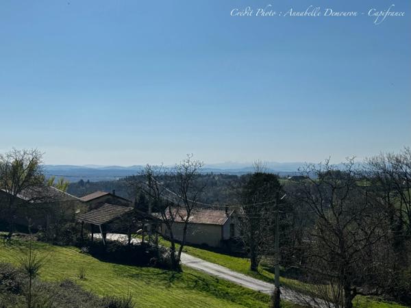 Villa d'architecte BBC à vendre à THIERS (CHOPINE) avec vaste terrain et piscine chauffée.