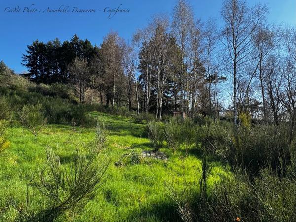 Villa d'architecte BBC à vendre à THIERS (CHOPINE) avec vaste terrain et piscine chauffée.