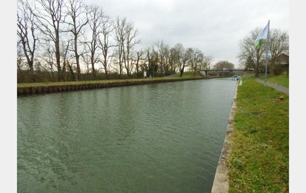 Vente Maison rénové(e) Dieuze   