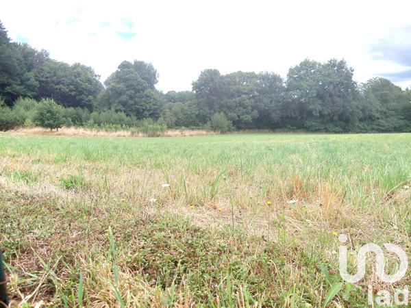 Terrain à vendre 9 505 m² Royères