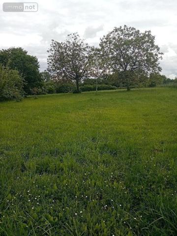 Terrain à Batir à vendre à Pellevoisin dans l'Indre (36180), ref : 016/377