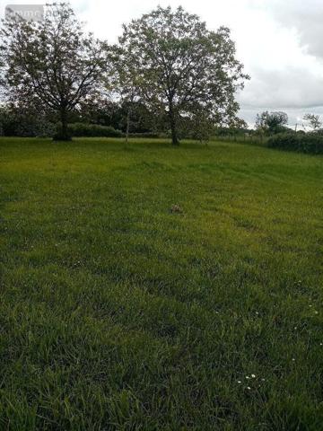 Terrain à Batir à vendre à Pellevoisin dans l'Indre (36180), ref : 016/377