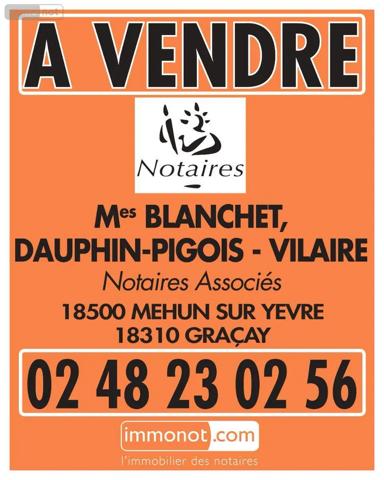 Achat - Maison Vierzon 18100 6 pièces 126 m 2 2545 m 2