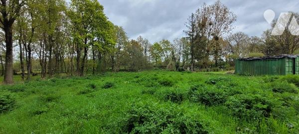 Terrain à bâtir à Massérac : centre-bourg, calme, proche gare. Idéal projet neuf. Non viabilisé.