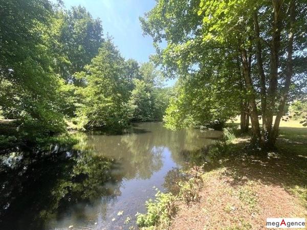 Maison à ECOUFLANT, 49000 - 7 pièces 280m²