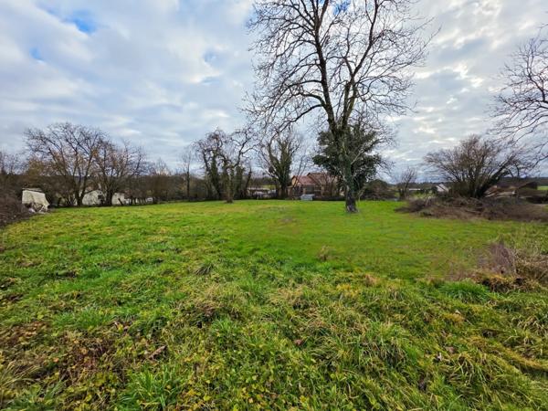 Terrain à vendre de 1 200,00 m² VERS SOUS SELLIERES (39)