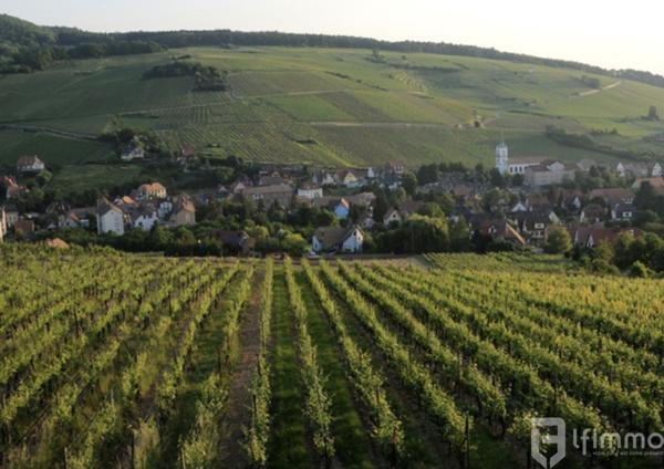 Neuf 4P Rez-de-jardin Haut Standing à Barr