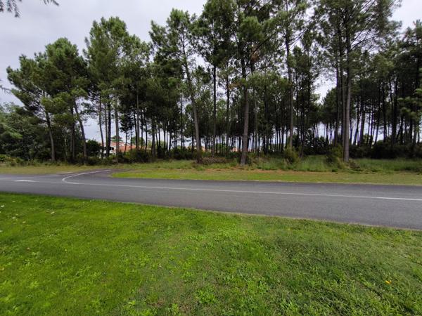 Terrain à vendre à Biscarrosse (40600) - Landes