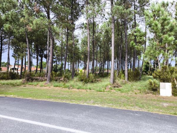 Terrain à vendre à Biscarrosse (40600) - Landes