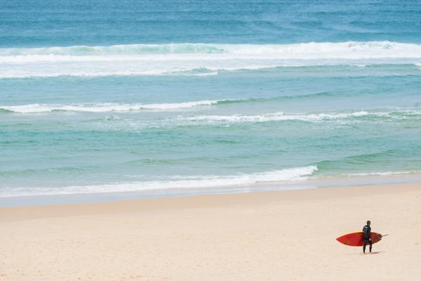 Terrain à vendre à Biscarrosse (40600) - Landes
