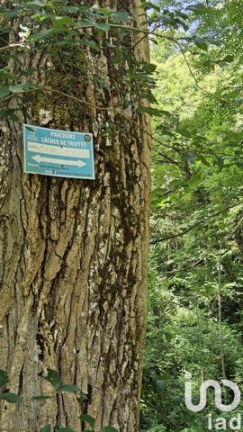 Terrain à vendre 4 087 m² Conques-en-Rouergue
