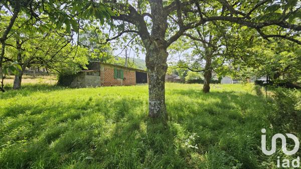 Terrain à vendre 4 087 m² Conques-en-Rouergue