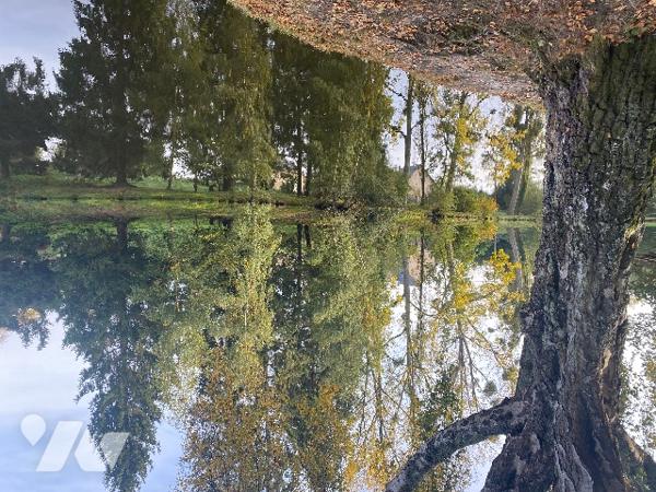 Deux étangs et des parcelles de terre sur une surface totale de 3h9130m².