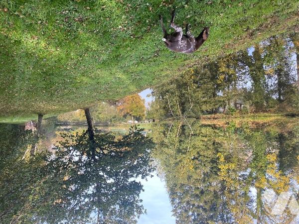 Deux étangs et des parcelles de terre sur une surface totale de 3h9130m².