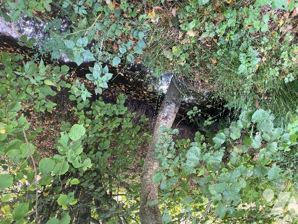 Deux étangs et des parcelles de terre sur une surface totale de 3h9130m².