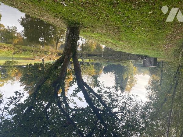 Deux étangs et des parcelles de terre sur une surface totale de 3h9130m².