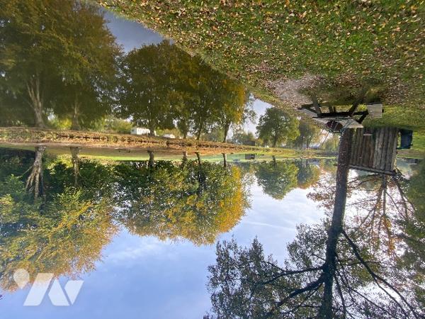 Deux étangs et des parcelles de terre sur une surface totale de 3h9130m².