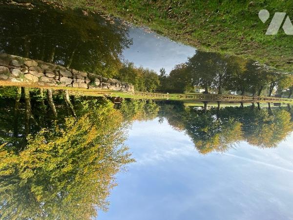 Deux étangs et des parcelles de terre sur une surface totale de 3h9130m².