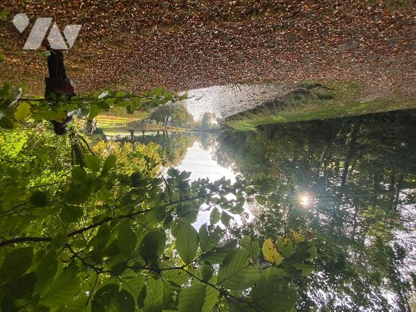 Deux étangs et des parcelles de terre sur une surface totale de 3h9130m².