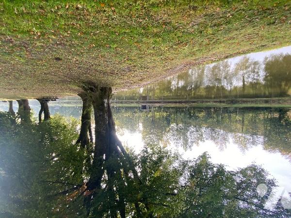 Deux étangs et des parcelles de terre sur une surface totale de 3h9130m².