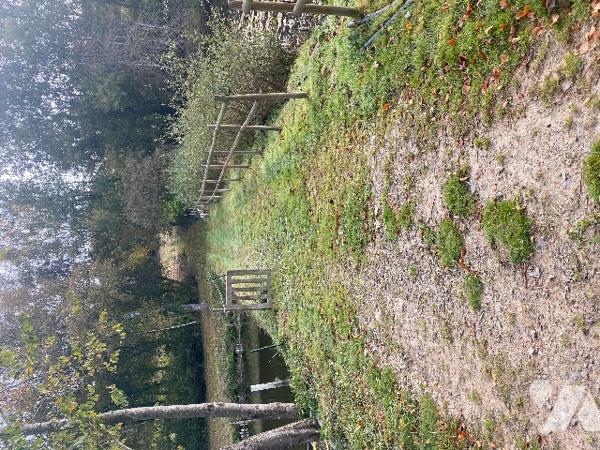 Deux étangs et des parcelles de terre sur une surface totale de 3h9130m².
