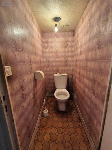 Maison à restaurer à vendre à Lourdoueix-Saint-Michel dans l'Indre (36140), ref : CG/389