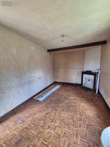 Maison à restaurer à vendre à Lourdoueix-Saint-Michel dans l'Indre (36140), ref : CG/389