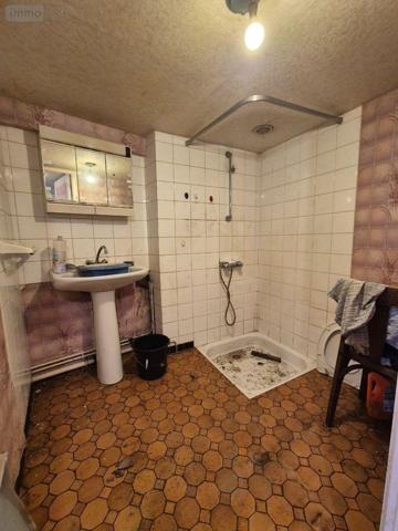 Maison à restaurer à vendre à Lourdoueix-Saint-Michel dans l'Indre (36140), ref : CG/389