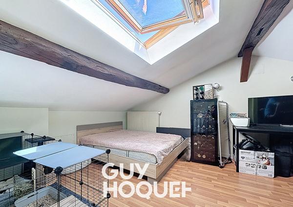 Appartement Duplex 1CHBRE + Mezzanine - 01750 SAINT LAURENT SUR SAONE