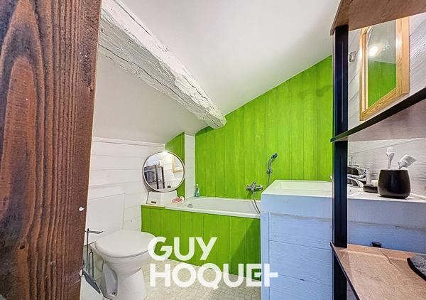 Appartement Duplex 1CHBRE + Mezzanine - 01750 SAINT LAURENT SUR SAONE